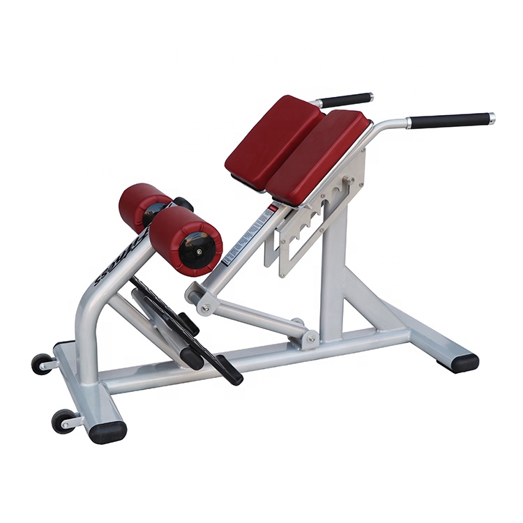 유니섹스 로만 체어 조절 가능한 스틸 스포츠 장비 가정 - Sports Equipment In School 리뷰 및 가격